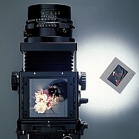 /l/700/777_s.jpg